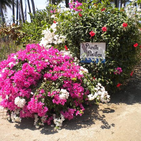 Plumita Pacifica Διαμέρισμα Playa Junquillal Εξωτερικό φωτογραφία