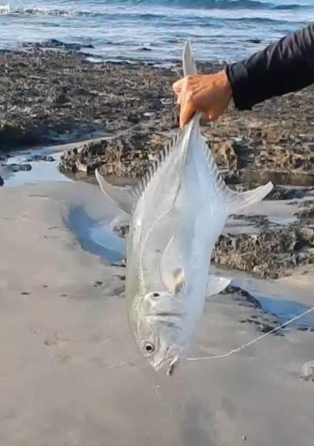 Plumita Pacifica Διαμέρισμα Playa Junquillal Εξωτερικό φωτογραφία