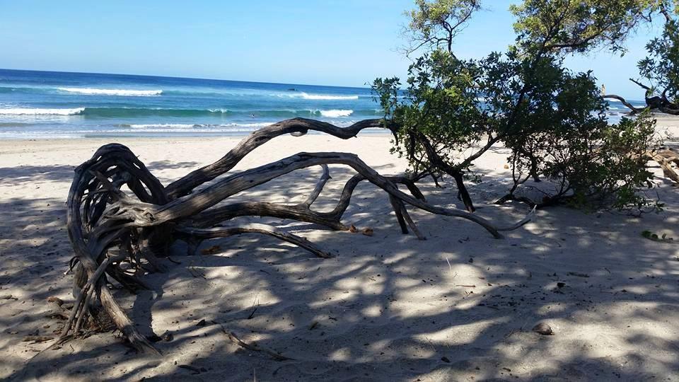 Plumita Pacifica Διαμέρισμα Playa Junquillal Εξωτερικό φωτογραφία